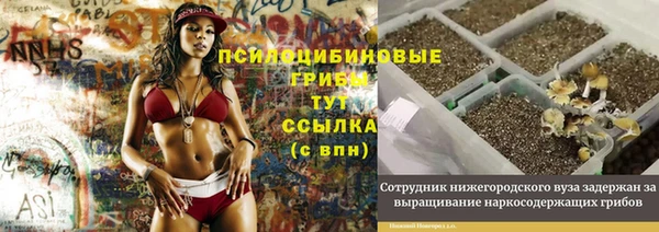 марки lsd Богородицк