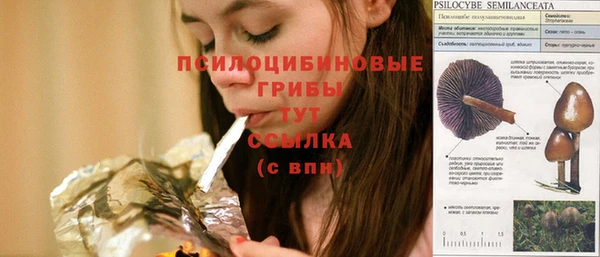 марки lsd Богданович