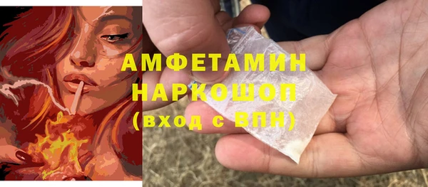 PSILOCYBIN Вяземский