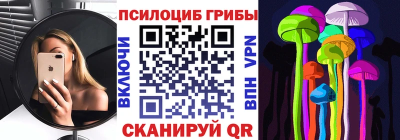 Галлюциногенные грибы Psilocybine cubensis Буйнакск